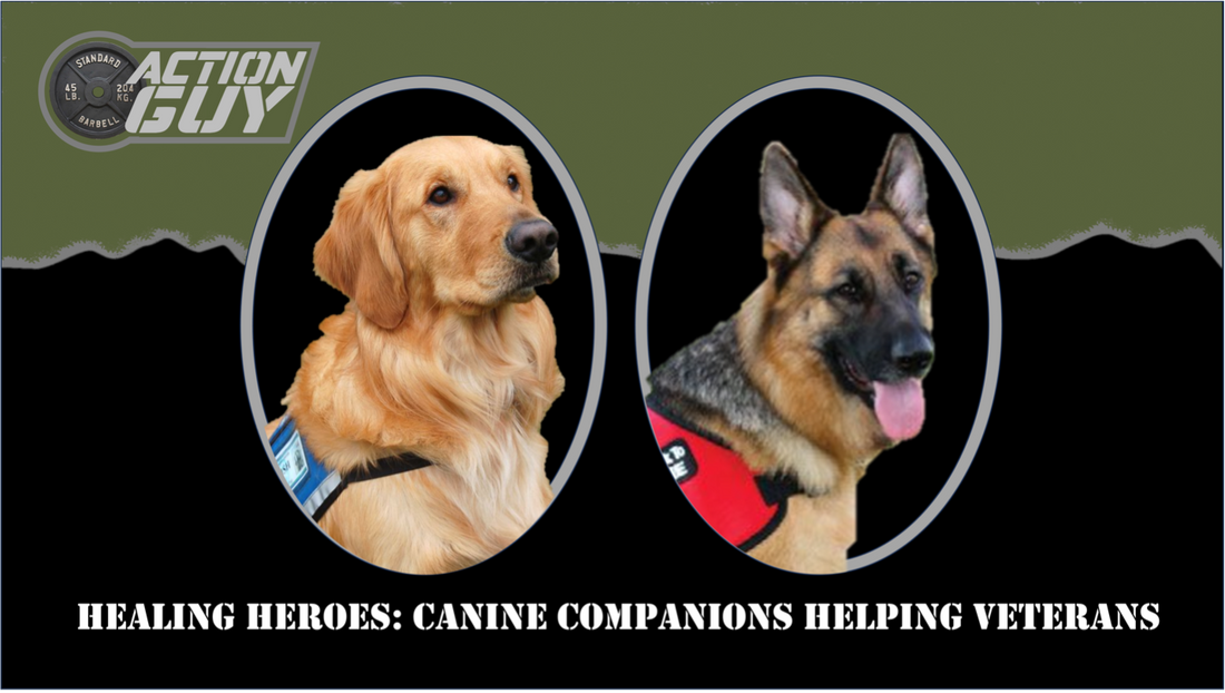 Title: Healing Heroes: How Canine Companions Help Combat Veterans